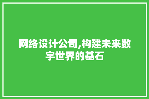 网络设计公司,构建未来数字世界的基石