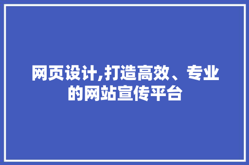 网页设计,打造高效、专业的网站宣传平台