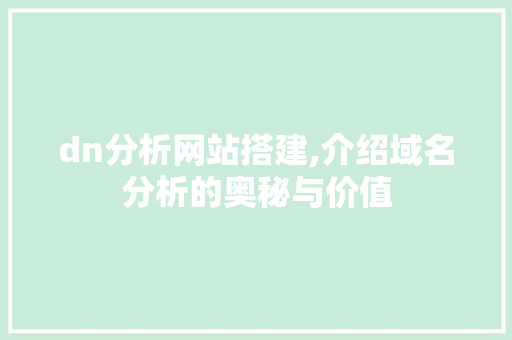 dn分析网站搭建,介绍域名分析的奥秘与价值