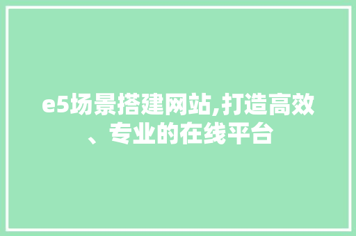 e5场景搭建网站,打造高效、专业的在线平台