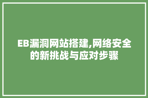 EB漏洞网站搭建,网络安全的新挑战与应对步骤