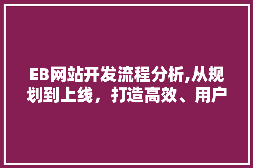 EB网站开发流程分析,从规划到上线，打造高效、用户体验佳的在线平台