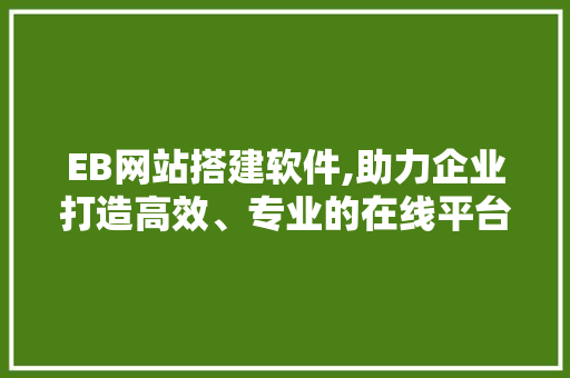 EB网站搭建软件,助力企业打造高效、专业的在线平台