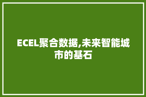 ECEL聚合数据,未来智能城市的基石