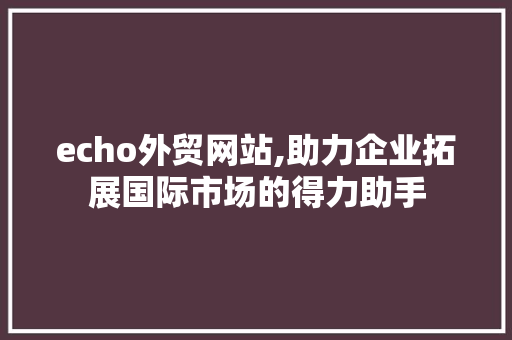 echo外贸网站,助力企业拓展国际市场的得力助手