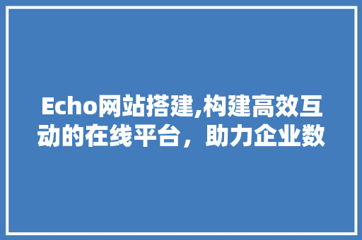 Echo网站搭建,构建高效互动的在线平台，助力企业数字化转型