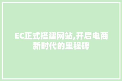 EC正式搭建网站,开启电商新时代的里程碑