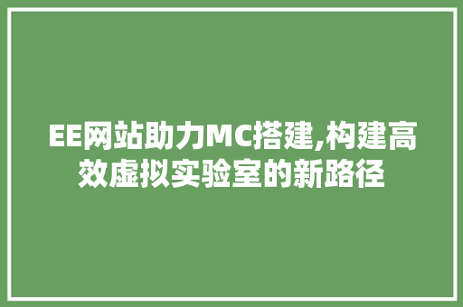 EE网站助力MC搭建,构建高效虚拟实验室的新路径