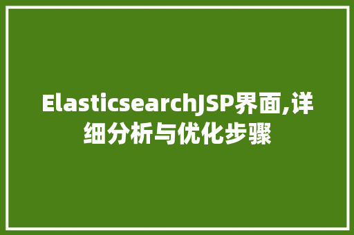 ElasticsearchJSP界面,详细分析与优化步骤 Python