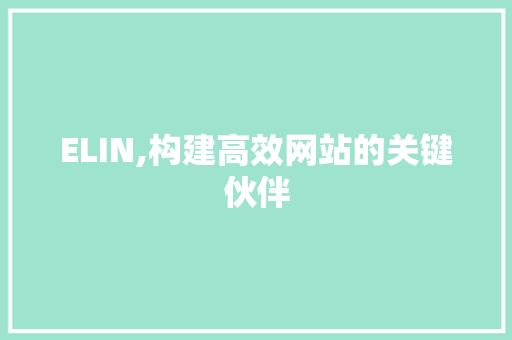 ELIN,构建高效网站的关键伙伴