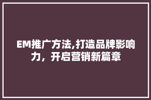 EM推广方法,打造品牌影响力，开启营销新篇章