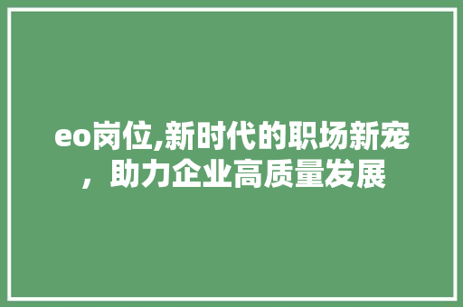 eo岗位,新时代的职场新宠，助力企业高质量发展