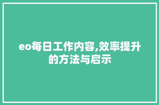 eo每日工作内容,效率提升的方法与启示