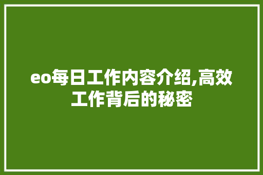 eo每日工作内容介绍,高效工作背后的秘密