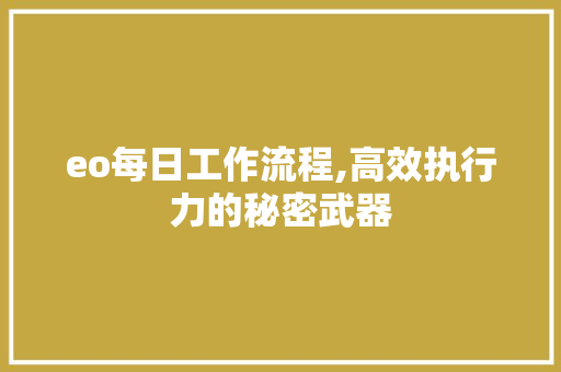 eo每日工作流程,高效执行力的秘密武器