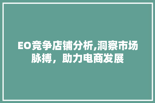 EO竞争店铺分析,洞察市场脉搏，助力电商发展