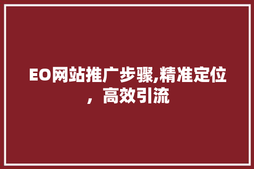 EO网站推广步骤,精准定位，高效引流