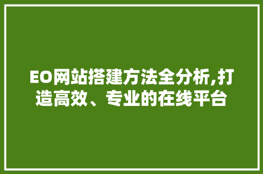 EO网站搭建方法全分析,打造高效、专业的在线平台