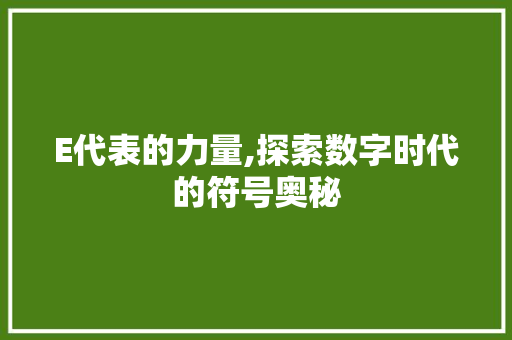 E代表的力量,探索数字时代的符号奥秘