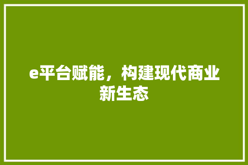 e平台赋能，构建现代商业新生态