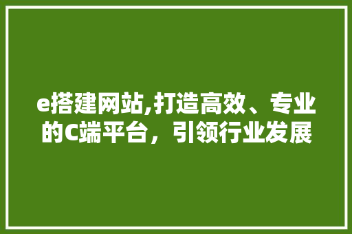 e搭建网站,打造高效、专业的C端平台，引领行业发展新潮流