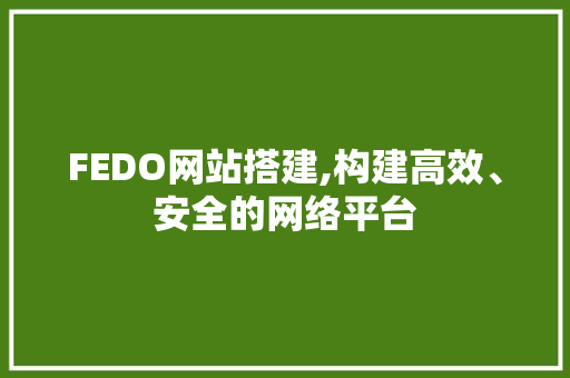 FEDO网站搭建,构建高效、安全的网络平台