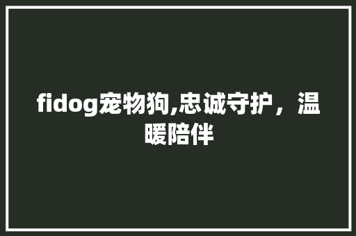 fidog宠物狗,忠诚守护，温暖陪伴