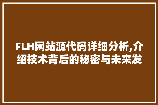 FLH网站源代码详细分析,介绍技术背后的秘密与未来发展趋势