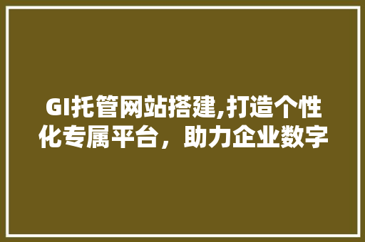 GI托管网站搭建,打造个性化专属平台，助力企业数字化转型