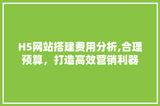 H5网站搭建费用分析,合理预算，打造高效营销利器