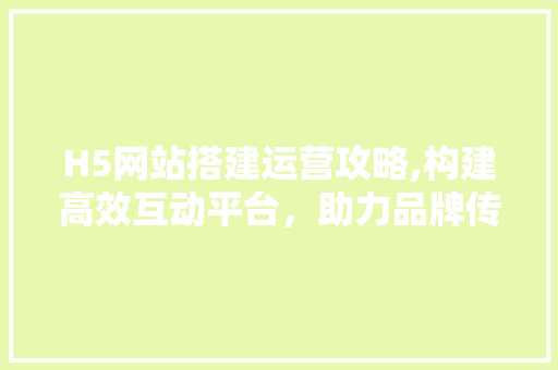 H5网站搭建运营攻略,构建高效互动平台，助力品牌传播