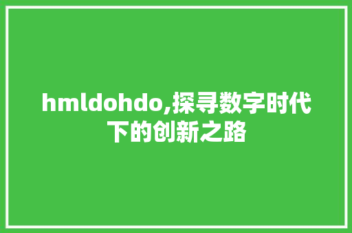 hmldohdo,探寻数字时代下的创新之路