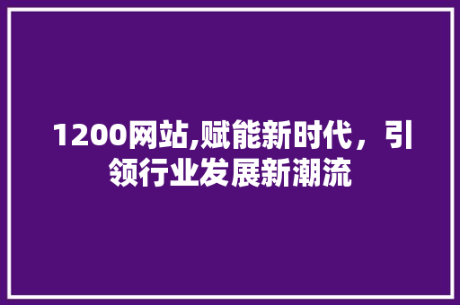 1200网站,赋能新时代，引领行业发展新潮流