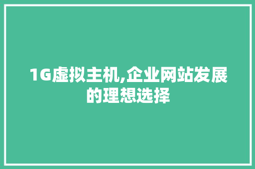 1G虚拟主机,企业网站发展的理想选择