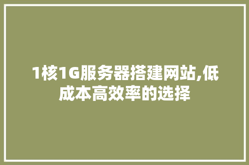 1核1G服务器搭建网站,低成本高效率的选择 NoSQL