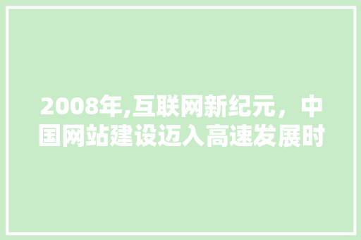 2008年,互联网新纪元，中国网站建设迈入高速发展时代