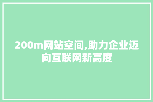 200m网站空间,助力企业迈向互联网新高度