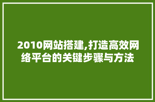 2010网站搭建,打造高效网络平台的关键步骤与方法 Angular