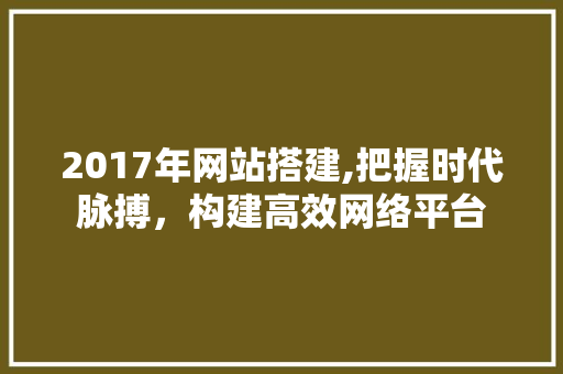 2017年网站搭建,把握时代脉搏，构建高效网络平台 NoSQL