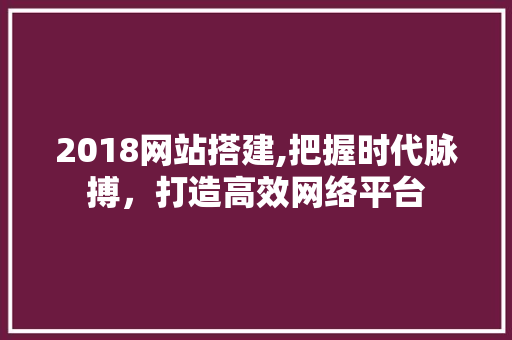 2018网站搭建,把握时代脉搏，打造高效网络平台 PHP