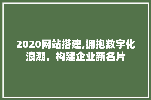 2020网站搭建,拥抱数字化浪潮，构建企业新名片 Vue.js