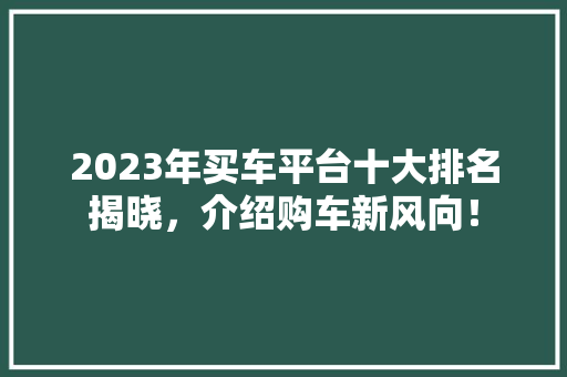 2023年买车平台十大排名揭晓，介绍购车新风向！