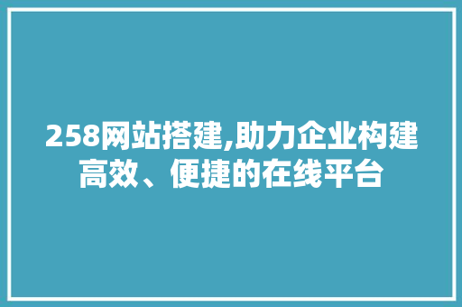 258网站搭建,助力企业构建高效、便捷的在线平台 NoSQL