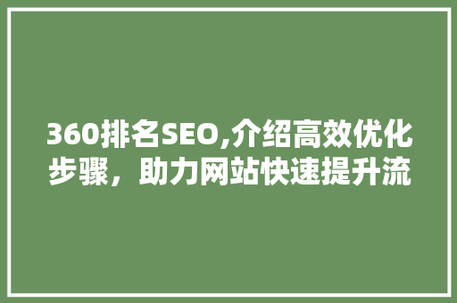 360排名SEO,介绍高效优化步骤，助力网站快速提升流量