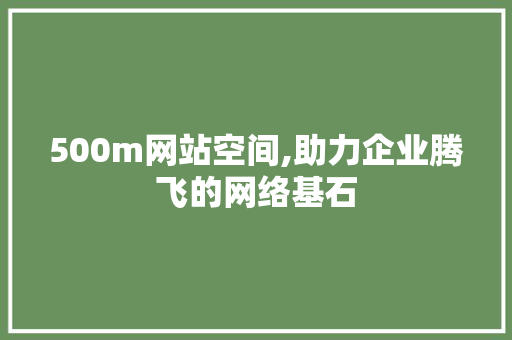 500m网站空间,助力企业腾飞的网络基石