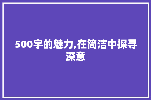 500字的魅力,在简洁中探寻深意