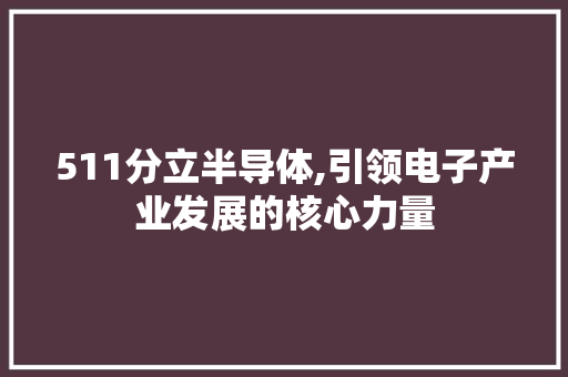 511分立半导体,引领电子产业发展的核心力量