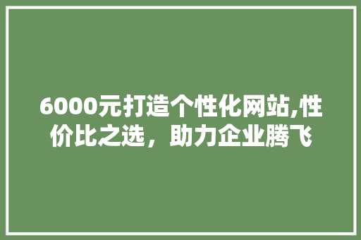 6000元打造个性化网站,性价比之选，助力企业腾飞 Angular