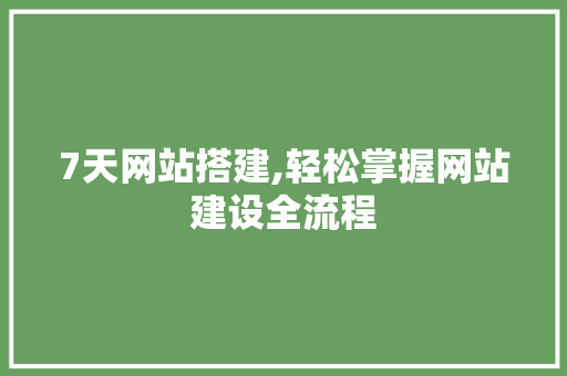 7天网站搭建,轻松掌握网站建设全流程 JavaScript