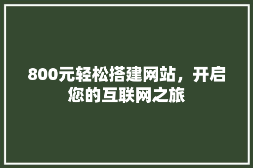 800元轻松搭建网站，开启您的互联网之旅